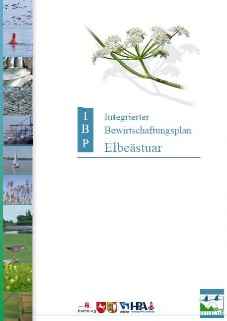 IBP-Titelseite